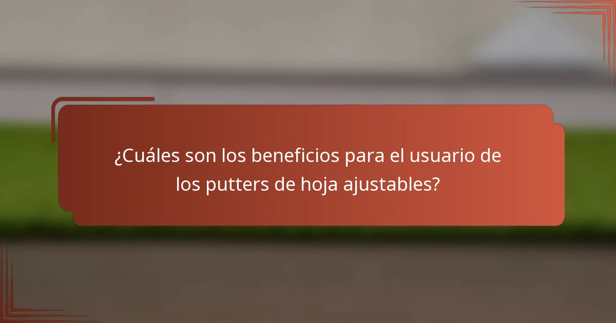 ¿Cuáles son los beneficios para el usuario de los putters de hoja ajustables?