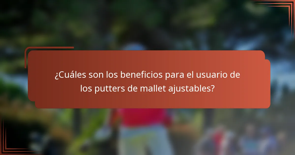 ¿Cuáles son los beneficios para el usuario de los putters de mallet ajustables?
