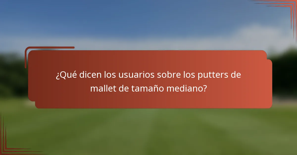 ¿Qué dicen los usuarios sobre los putters de mallet de tamaño mediano?