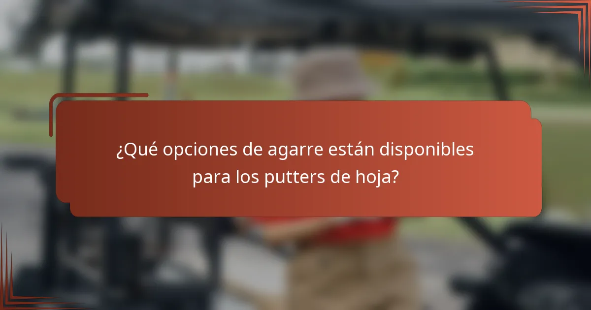 ¿Qué opciones de agarre están disponibles para los putters de hoja?