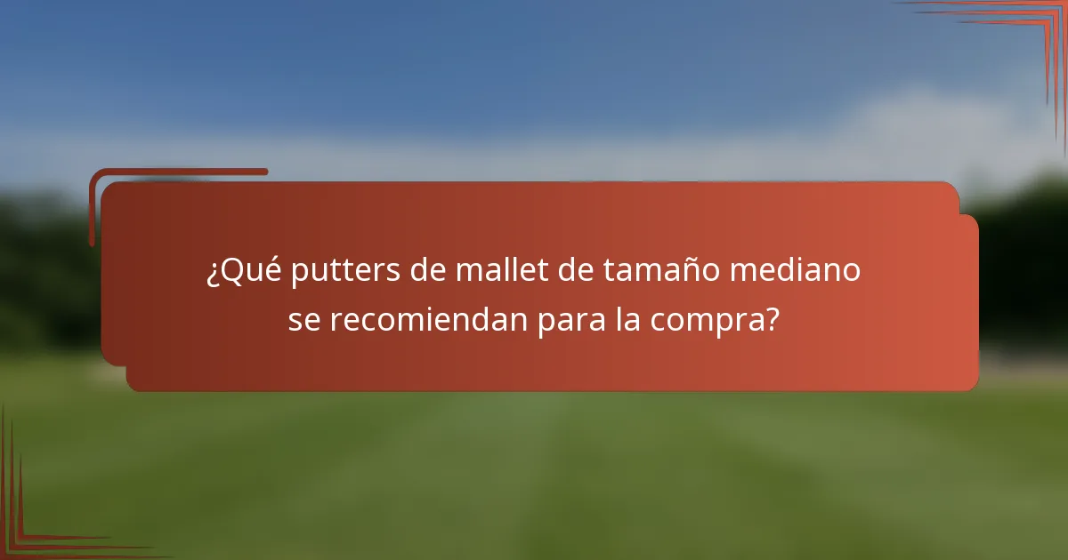 ¿Qué putters de mallet de tamaño mediano se recomiendan para la compra?